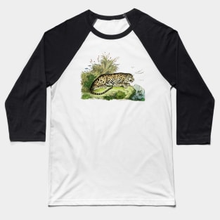 Leopard Vintage Wildlife Illustration Baseball T-Shirt